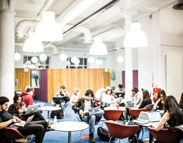 Students Studying in UCL Science Library