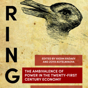 Ambivalence of Power in the Twenty-First Century Economy (Paperback)
