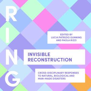 Invisible Reconstruction (Hardback)