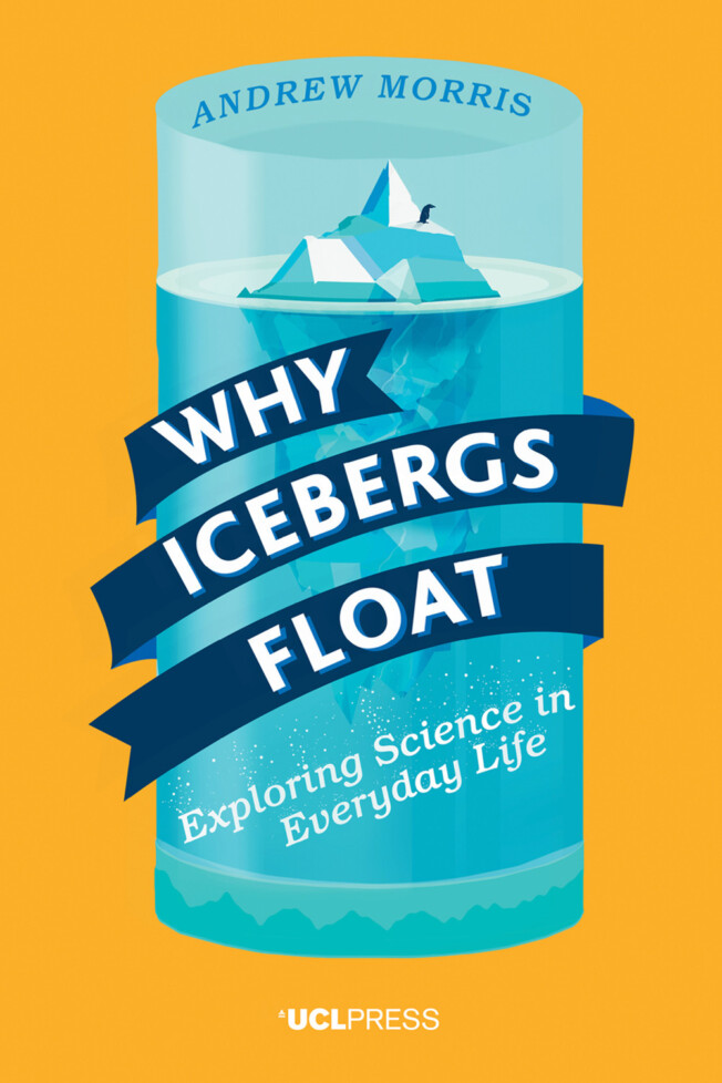 Book cover for Why Icebergs Float