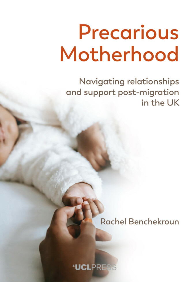Book cover for Precarious Motherhood