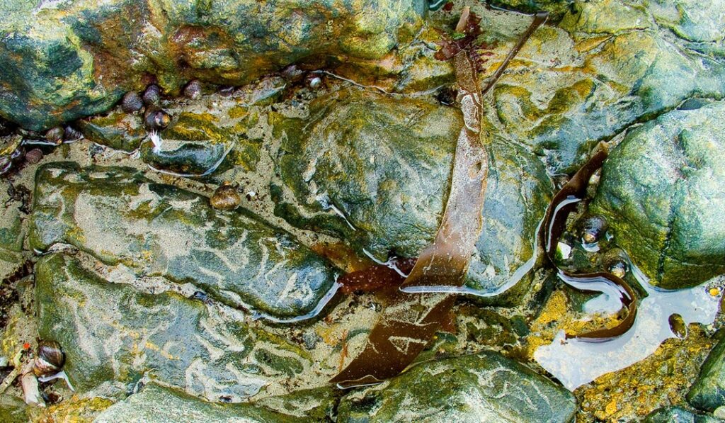 Rock pool