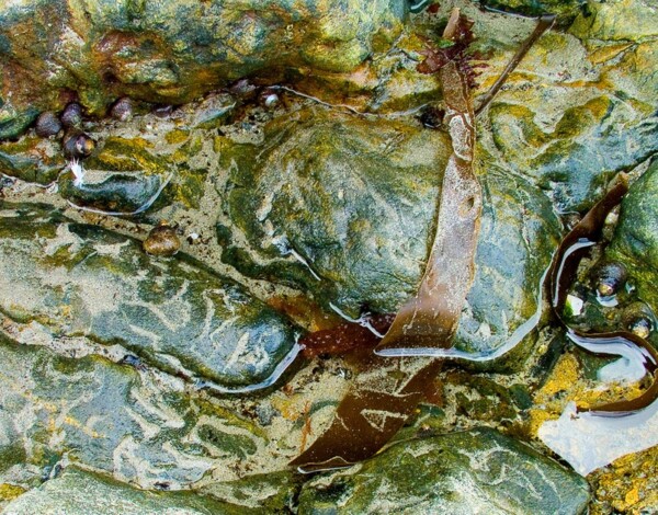Rock pool