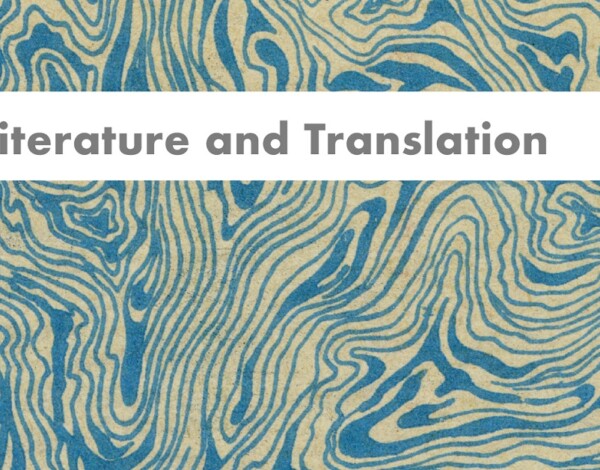 Abstract blue and beige swirling pattern with the text 'Literature and Translation' in the centre. This is section of the cover of 'Selected Essays and Dialogues by Gianni Celati'