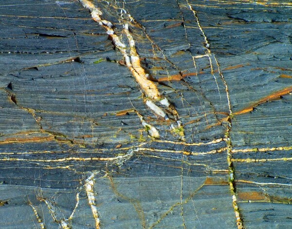 Abstract image of lines on a rock