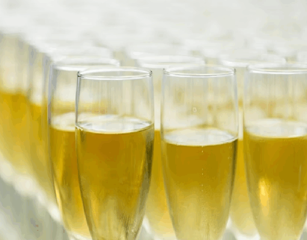 Rows of champagne flutes filled with golden liquid.