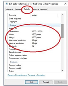 A screenshot of the "Properties" window of a file. The "Details" tab is selected, and the "Image" section is highlighted with a red circle. It shows dimensions of 1500 x 1500 pixels, width and height both 1500 pixels, and horizontal and vertical resolution of 96 dpi. The "Details" tab is also circled in red at the top.