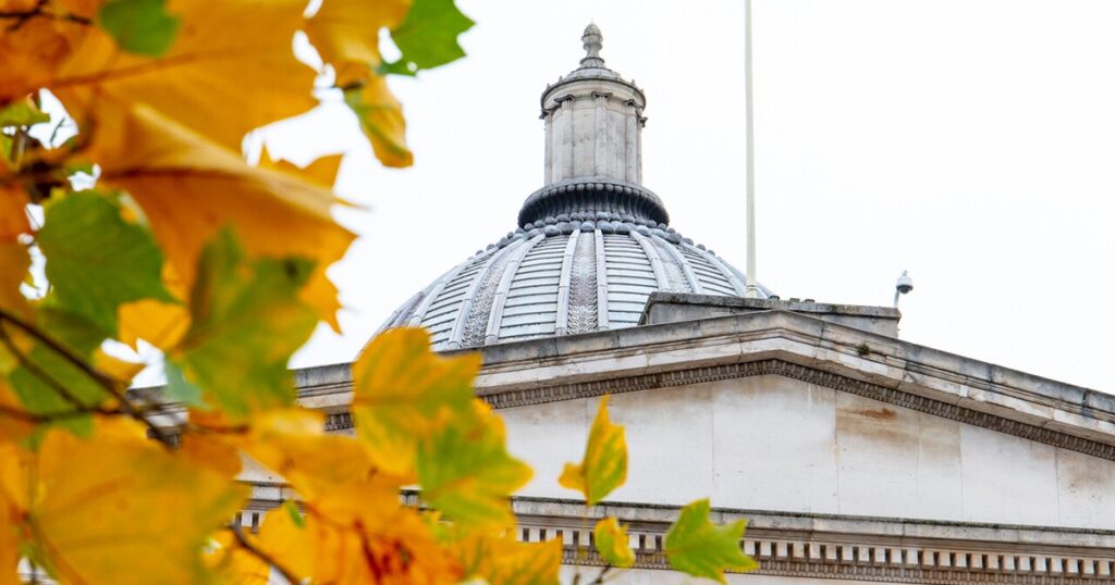 UCL Portico and Dome and Autumn leaves of the Ginkgo Biloba