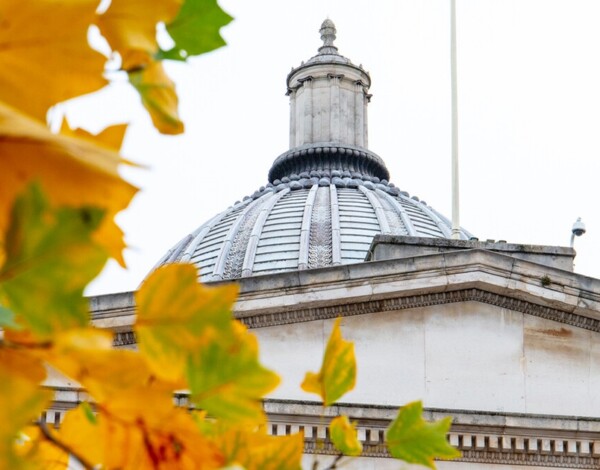 UCL Portico and Dome and Autumn leaves of the Ginkgo Biloba