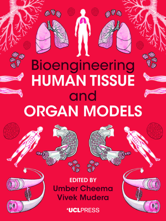 Book cover for Bioengineering Human Tissue and Organ Models