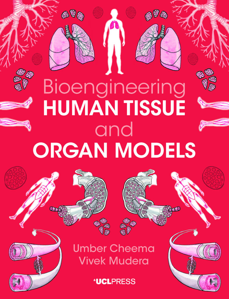 Bioengineering Human Tissue and Organ Models