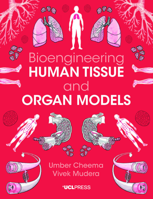 Book cover for Bioengineering Human Tissue and Organ Models