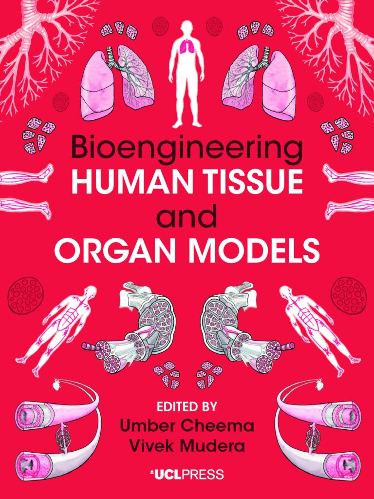 Bioengineering Human Tissue and Organ Models