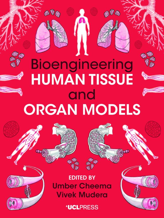 Book cover for Bioengineering Human Tissue and Organ Models